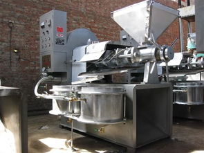 自動(dòng)榨油機(jī)多少錢 液壓榨油機(jī)多少錢一套