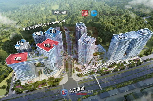 深圳新盤開發(fā)商破產(chǎn)重整警示錄 投資興辦實(shí)業(yè)的風(fēng)險與應(yīng)對