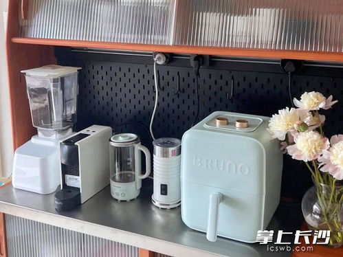 買得多用得少 小家電真香還是雞肋 家用電器